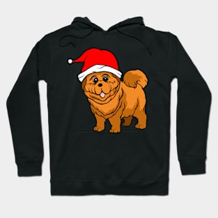 Christmas Dog Hoodie